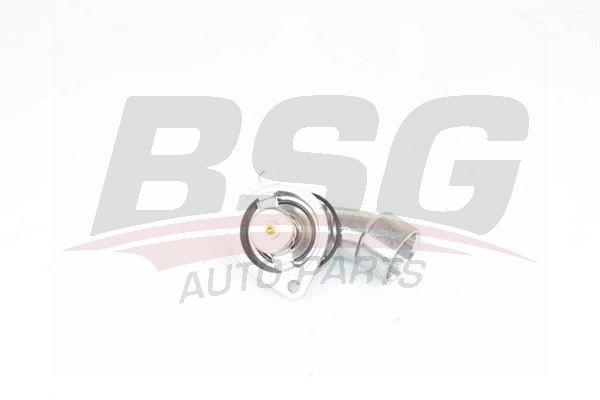 Термостат BSG                bsg 65-125-007