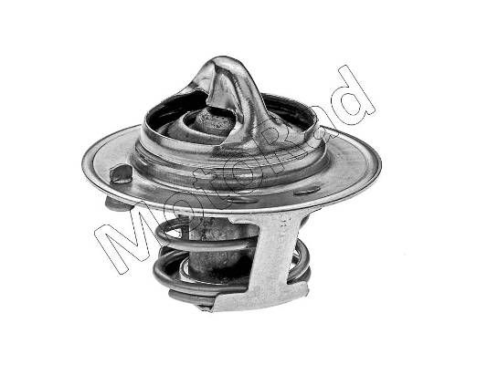 Thermostat Motorad                202-92JK