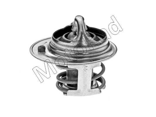 Thermostat Motorad                239-82K