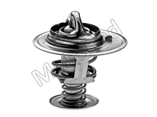 Thermostat Motorad                242-82K