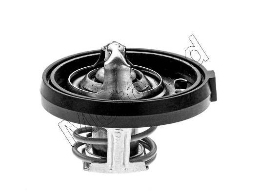 Thermostat Motorad                340-91K