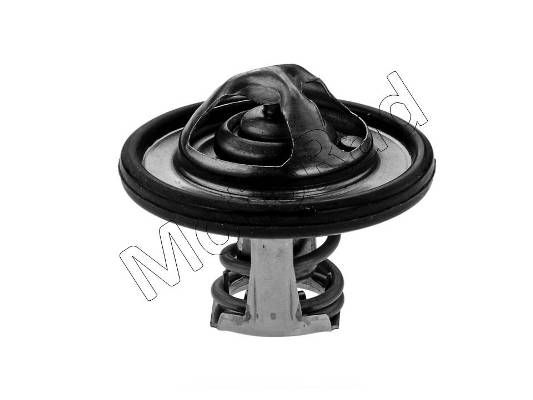 Thermostat Motorad                531-82K