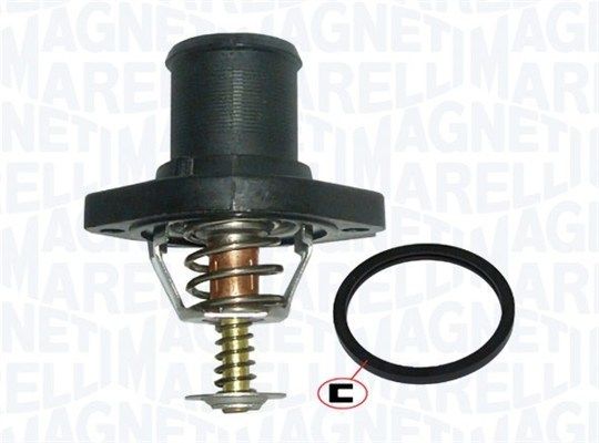 Magneti Marelli                352317100260