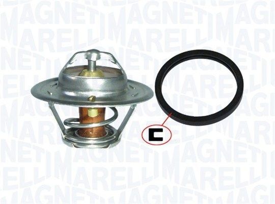 Magneti Marelli                352317100350