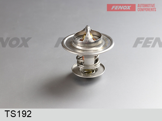 Термостат Fenox                TS192