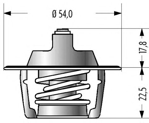 Термостат Quinton Hazell                QTH170