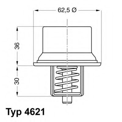 Термостат Wahler                4621.80D