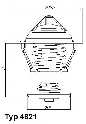 Термостат Wahler                4821.89D