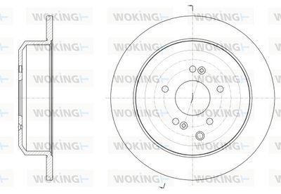 D6254100 WOKING Тормозной диск
