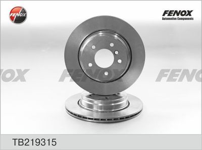 TB219315 FENOX Тормозной диск