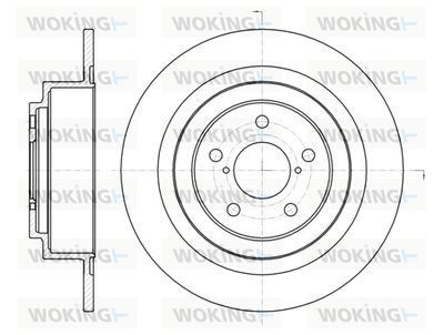 D6134300 WOKING Тормозной диск
