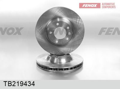 TB219434 FENOX Тормозной диск
