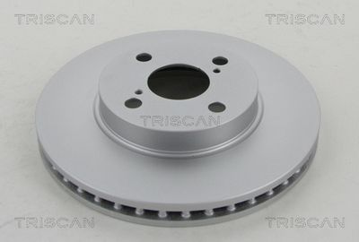 812013169C TRISCAN Тормозной диск