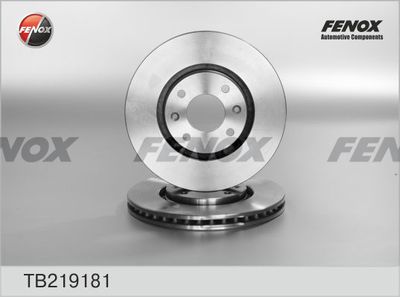 TB219181 FENOX Тормозной диск