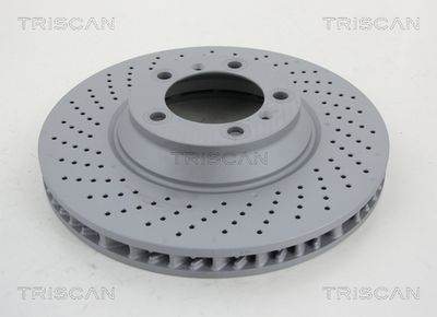 8120101079C TRISCAN Тормозной диск
