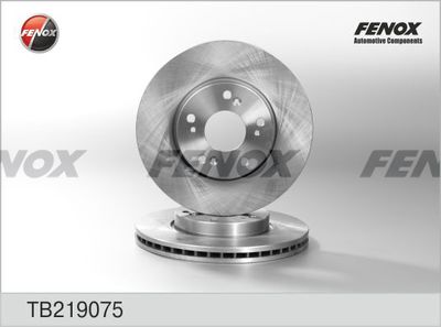 TB219075 FENOX Тормозной диск