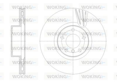 D6253010 WOKING Тормозной диск