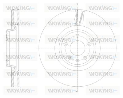 D6213310 WOKING Тормозной диск