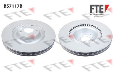 9081097 FTE Тормозной диск