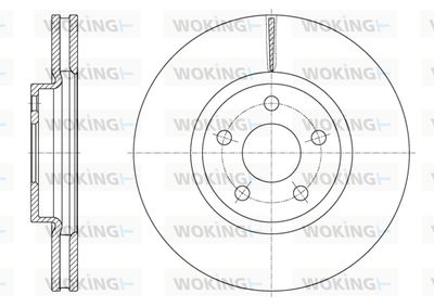D6160310 WOKING Тормозной диск