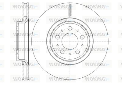 D6130310 WOKING Тормозной диск