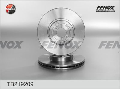 TB219209 FENOX Тормозной диск