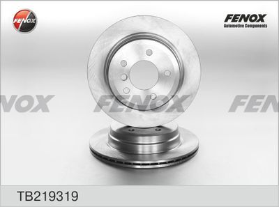 TB219319 FENOX Тормозной диск