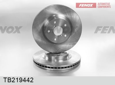 TB219442 FENOX Тормозной диск