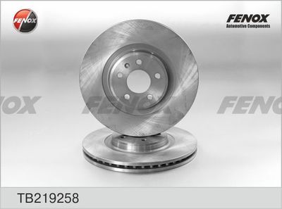 TB219258 FENOX Тормозной диск