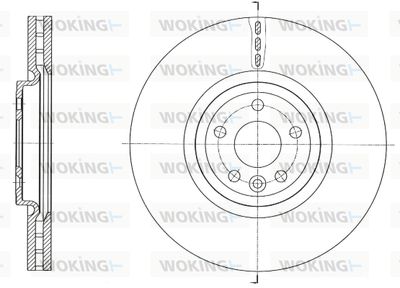 D6175810 WOKING Тормозной диск