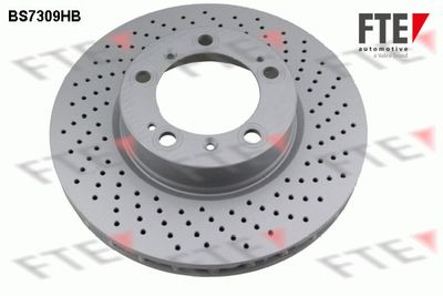 9081332 FTE Тормозной диск