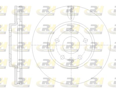 6179310 ROADHOUSE Тормозной диск