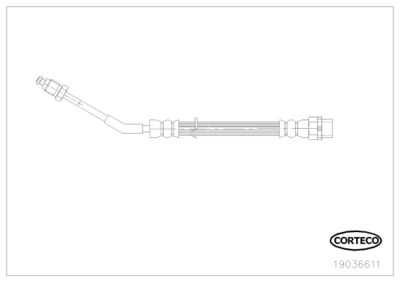 19036611 CORTECO Тормозной шланг