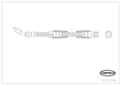 19037204 CORTECO Тормозной шланг