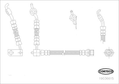 19036615 CORTECO Тормозной шланг