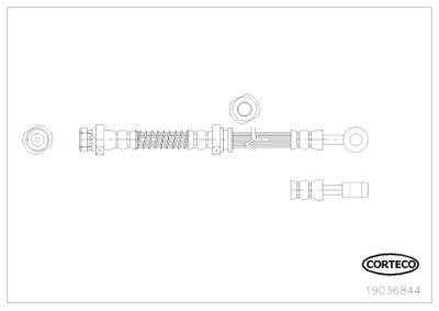 19036844 CORTECO Тормозной шланг