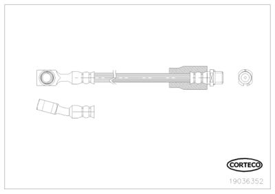 19036352 CORTECO Тормозной шланг