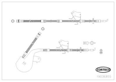 19036855 CORTECO Тормозной шланг