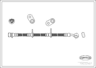 19032987 CORTECO Тормозной шланг