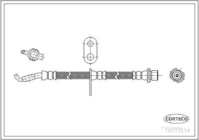 19033534 CORTECO Тормозной шланг