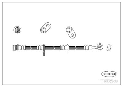 19032988 CORTECO Тормозной шланг