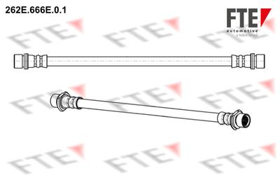 262E666E01 FTE Тормозной шланг