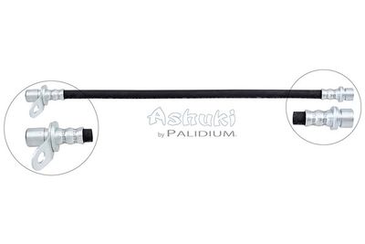 ASH30065 ASHUKI by Palidium Тормозной шланг