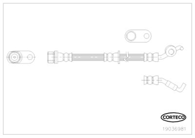 19036981 CORTECO Тормозной шланг