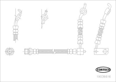19036616 CORTECO Тормозной шланг