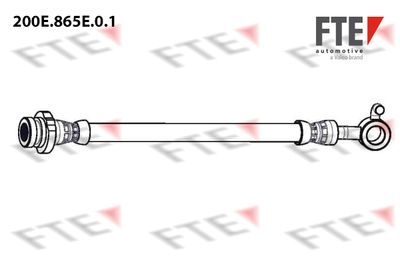 200E865E01 FTE Тормозной шланг