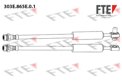 303E865E01 FTE Тормозной шланг