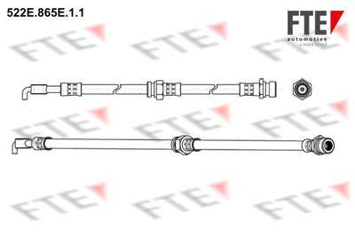 522E865E11 FTE Тормозной шланг