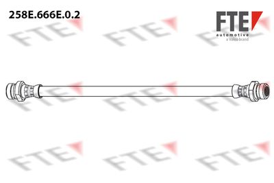 258E666E02 FTE Тормозной шланг