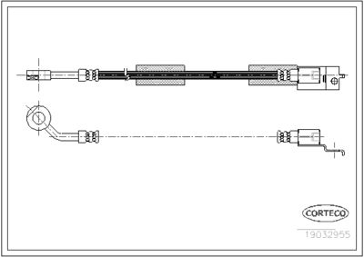 19032955 CORTECO Тормозной шланг